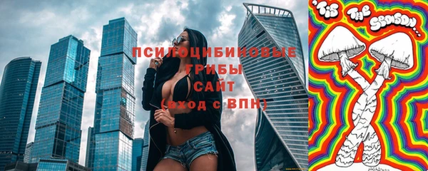 прущая мука Вяземский